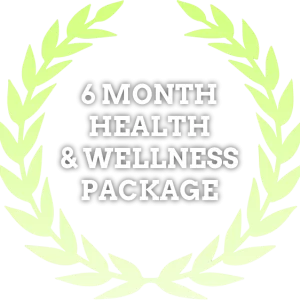 6 month health and wellness package